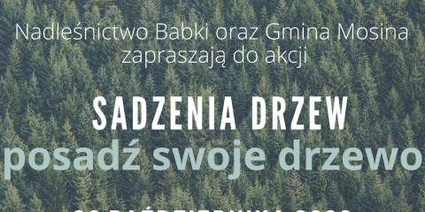 Przyjdź i posadź swoje drzewo- zmiana terminu akcji