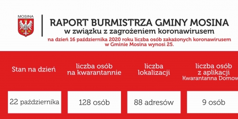 Raport Burmistrza Gminy Mosina
