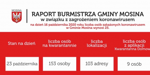 Raport Burmistrza Gminy Mosina