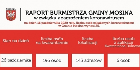 Raport Burmistrza Gminy Mosina
