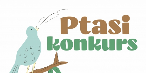 Ptasi konkurs - wyniki