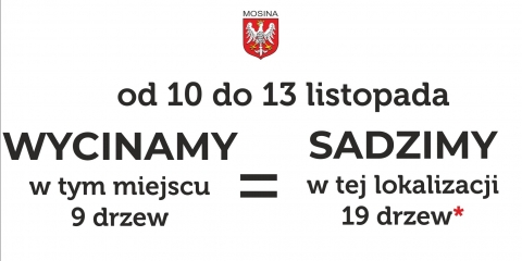 Wycinka i nowe nasadzenia na ul. Powstańców Wielkopolskich 