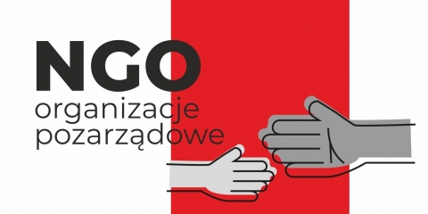 Ankieta dla organizacji pozarządowych 