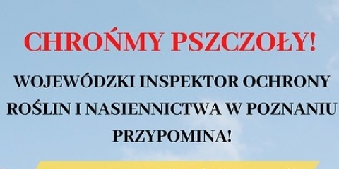 Chrońmy pszczoły - od nich należy życie na ziemi