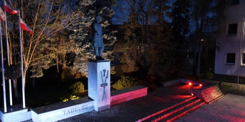 Święto Flagi - Mosina 2021