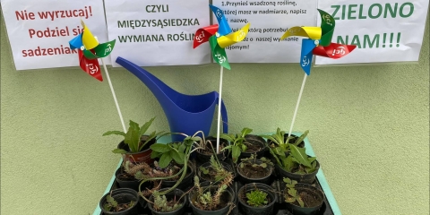 Podziel się sadzeniakiem