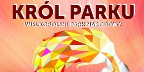Król Parku - gratka dla biegaczy