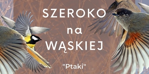 Wystawa “Ptaki”