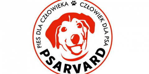 Posłuszny pies pomocniczy - szkolenie dla psów