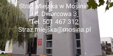 Działania Straży Miejskiej
