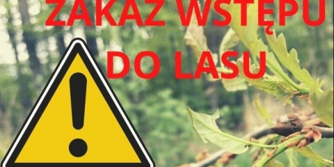 Zakaz wstępu do lasu