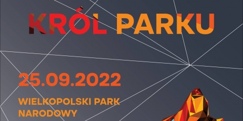 Król jest tylko jeden