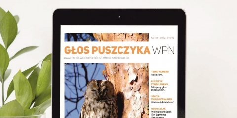Pierwszy numer Kwartalnika Głos Puszczyka WPN już dostępny