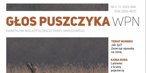Drugi numer Kwartalnika Głos Puszczyka WPN już dostępny
