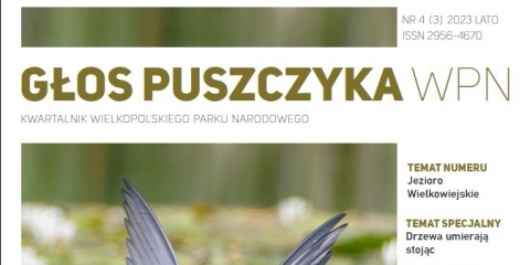 Kwartalnik WPN nr 4 - lato 