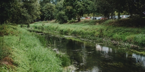 Miejski odcinek Kanału Mosińskiego 