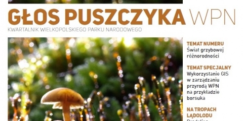 Mosina TV | #7 Kwartalnik WPN "Głos Puszczyka" Jesień 2023