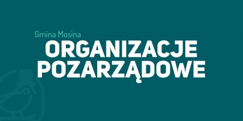 Oferta realizacji zadania publicznego - mały grant 