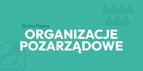 Oferta realizacji zadania publicznego - mały grant 