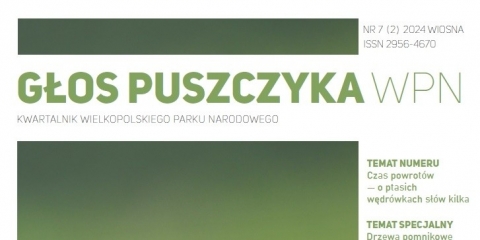 Głos Puszczyka WPN