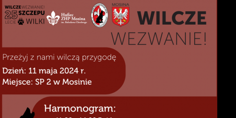 Odwiedź mosińskich harcerzy