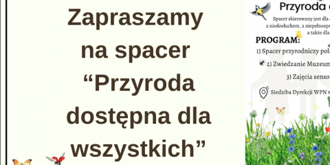 Letni spacer integracyjny w WPN