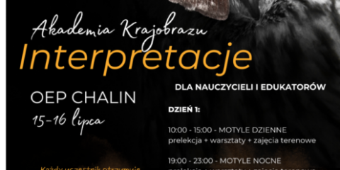 Tydzień Liczenia Motyli od 13 lipca