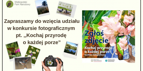 Konkurs fotograficzny „Kochaj przyrodę o każdej porze”