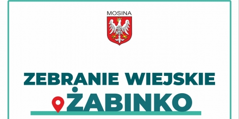 Zebranie wiejskie sołectwa Żabinko