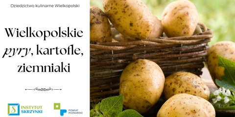 Wielkopolskie pyry, kartofle, ziemniaki