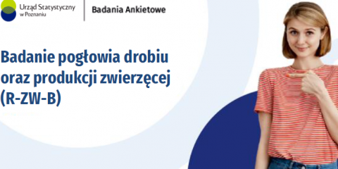Badanie Urzędu Statystycznego