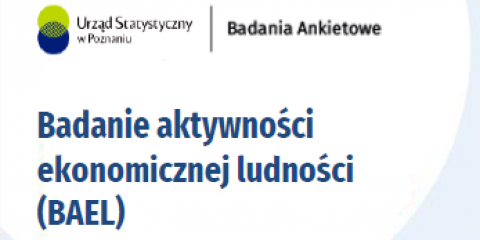 Badanie aktywności ekonomicznej ludności (BAEL)