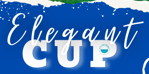 Elegant CUP - piłkarskie emocje