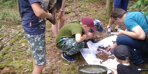 Parafia w Rogalinie wyróżniona w ogólnopolskim plebiscycie 