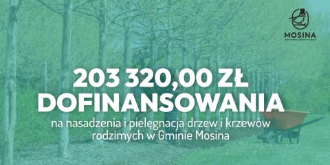 Dofinansowanie na nowe nasadzenia i pielęgnację zieleni