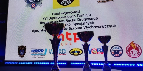 Wielki sukces uczniów z Mosiny