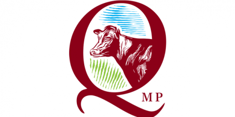 Bezpłatne webinary o systemie QMP