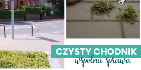 Czysty chodnik, wspólna sprawa
