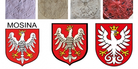 Prezentacja projektu herbu podczas sesji Rady Miejskiej