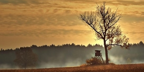 Polowania zbiorowe i indywidualne