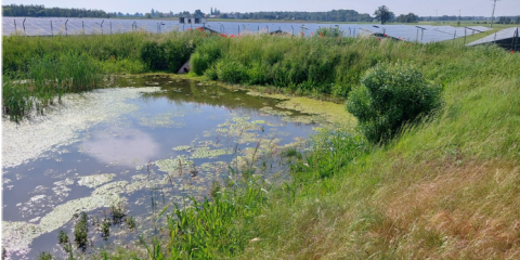 Modernizacja zbiornika w Pecnej