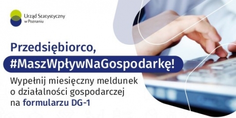Miesięczny meldunek DG-1
