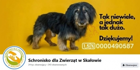 Adoptuj ze Schroniska dla Zwierząt w Skałowie