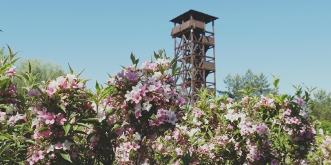 Będzie nowa wieża widokowa na mosińskich Gliniankach