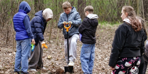 Posadziliśmy 300 drzew