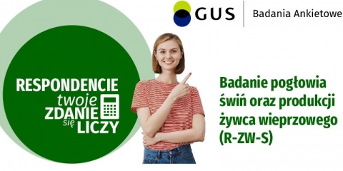 Badanie pogłowia świń oraz produkcji żywca wieprzowego (R-ZW-S)