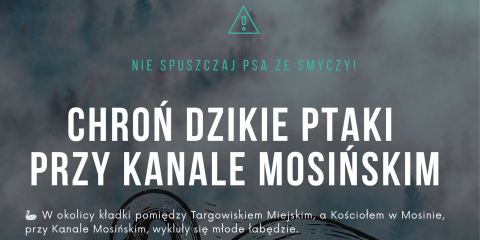 Apel o nie puszczanie psów ze smyczy