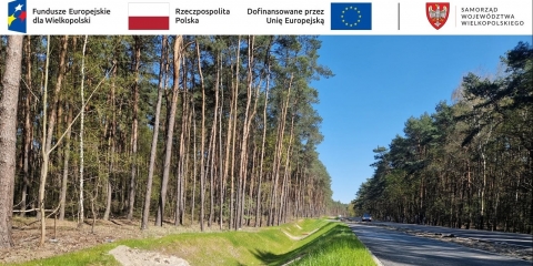 Droga wojewódzka 431 Rogalinek - Mosina