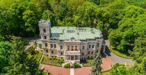 Pałac w Biedrusku z wieżą (fot