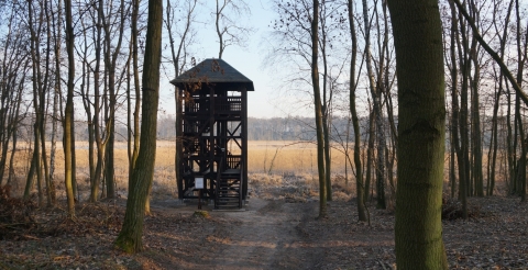 Wieża ornitologiczna na Trzcielińskim Bagnie (fot